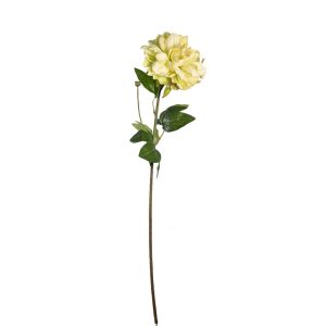RAMO PEONIA 67 CM crema-verde-chiaro (Cod. 39470-05)