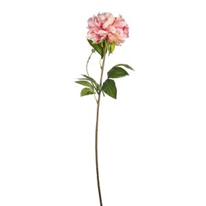 RAMO PEONIA 67 CM rosa-chiaro (Cod. 39470-03)