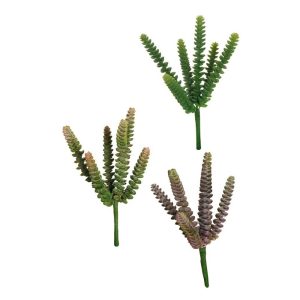 1 PZ. PIANTINA SUCCULENTA X6 26 CM colori-misti (Cod. 39571-01)