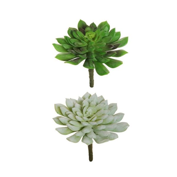 1 PZ. ECHEVERIA SUCCULENTA H15 D13 CM  (Cod. 39572-01)
