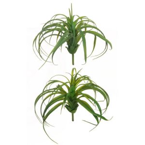 PIANTA TILLANZIA D27 CM  (Cod. 39573-01)
