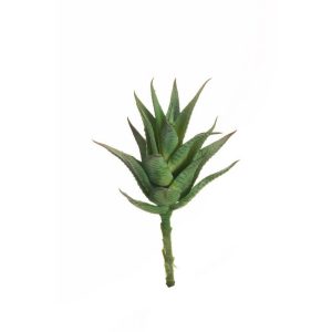 MINI AGAVE H20 D9 CM  (Cod. 39574-01)