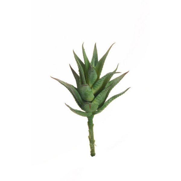 MINI AGAVE H20 D9 CM  (Cod. 39574-01)
