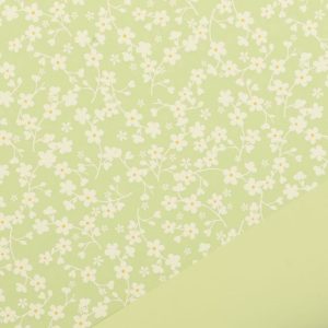 BOBINA BLOSSOMS 1X25 MT verde (Cod. 39500-02)