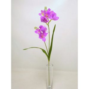 FRESIA CM 65 fucsia (Cod. 35406-04)