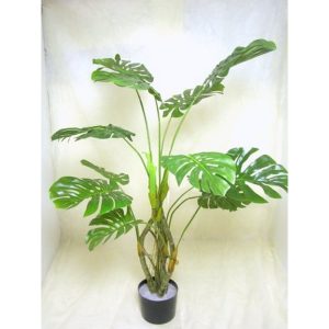 PIANTA MONSTERA IN VASO CON 12 FOGLIE 125 CM  (Cod. 39564-01)