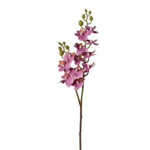RAMO ORCHIDEE X12 60 CM beauty (Cod. 39607-01)