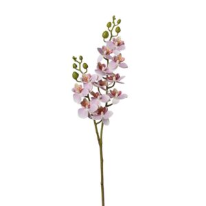 RAMO ORCHIDEE X12 60 CM rosa (Cod. 39607-02)