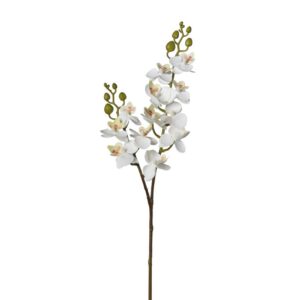 RAMO ORCHIDEE X12 60 CM bianco (Cod. 39607-03)
