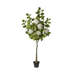 PIANTA ORTENSIE IN VASO 180 CM bianco (Cod. 39606-01)