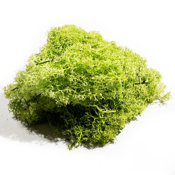 MUSCHIO LICHENE NORDICO STABILIZZATO 500 GR verde-mela (Cod. 39335-04)
