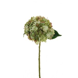 ORTENSIA JULIET CON 3 FOGLIE H50 D18 CM verde-viola (Cod. 33242-10)