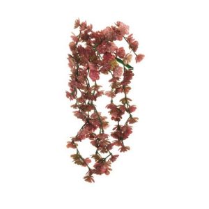 MINI ECHEVERIA X10 34 CM fucsia (Cod. 39764-02)