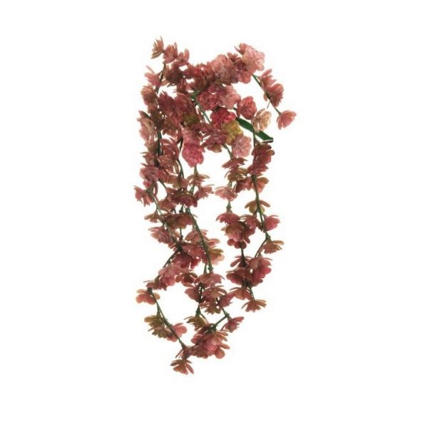 MINI ECHEVERIA X10 34 CM fucsia (Cod. 39764-02)
