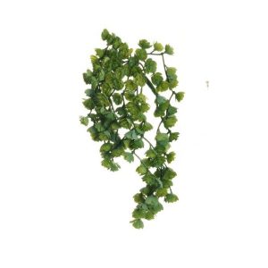 MINI ECHEVERIA X10 34 CM verde (Cod. 39764-01)
