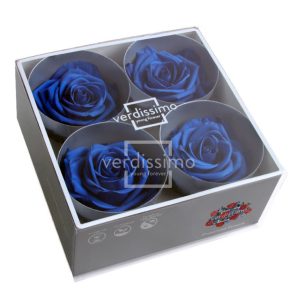 BOX TESTE DI ROSA DIAM. 6,5-8,5CM STAB. PREMIUM 4 PZ blu-scuro (Cod. 8187-04)