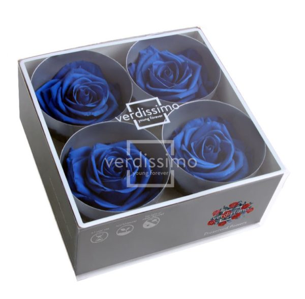 BOX TESTE DI ROSA DIAM. 6,5-8,5CM STAB. PREMIUM 4 PZ blu-scuro (Cod. 8187-04)