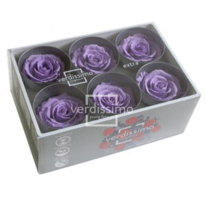 BOX TESTE DI ROSA D 6-6,5CM STABILIZ. PZ.6 lilla (Cod. 8330-27)