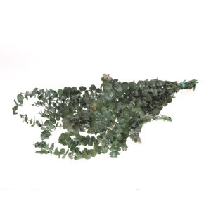 EUCALIPTO BABY verde-muschio (Cod. 39927-01)