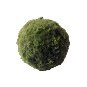 PALLA DI MUSCHIO ARTIFICIALE D30 CM verde (Cod. 39947-01)