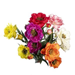 SET 12 PZ. RAMO ANEMONE CON 2 FIORI E 1 BOCCIOLO 50 CM colori-assortiti (Cod. 39941-01)