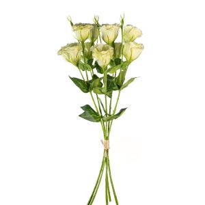 MAZZO LISIANTHUS X5 8 FIORI E 2 BOCCIOLI 70 CM verde-chiaro (Cod. 39942-04)