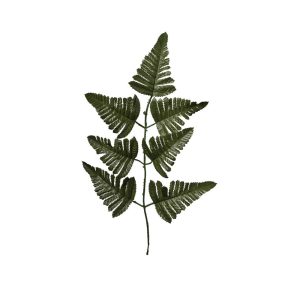 RAMO FELCE 57 CM verde (Cod. 39863-01)