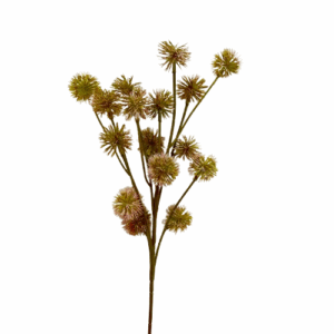 RAMO ECHINOPS 56 CM verde-rosa (Cod. 39799-01)