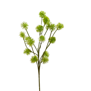 RAMO ECHINOPS 56 CM verde-bianco (Cod. 39799-02)