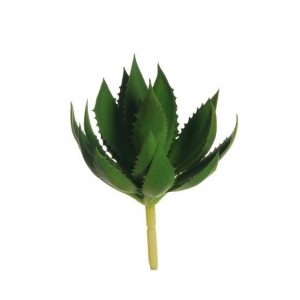 ALOE VERA D12 H27 CM verde (Cod. 39885-01)