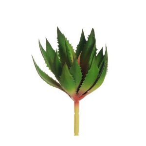 ALOE VERA D12 H27 CM verde-rosso (Cod. 39885-02)
