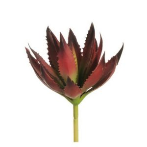 ALOE VERA D12 H27 CM rosso (Cod. 39885-03)
