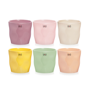 SET 6 CASPO' D13,5 H12,6  colori-assortiti (Cod. 39893-01)