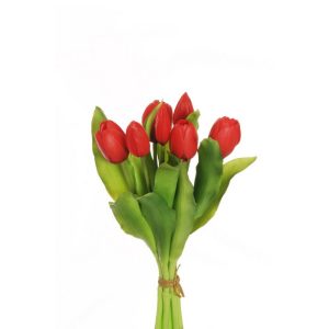 MAZZO TULIPANI X 7 30 CM rosso (Cod. 37375-01)