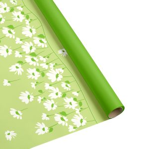 BOBINA B&P FLY DAISY 50my (più spessa) H100 CM 25 MT verde-mela (Cod. 39791-04)