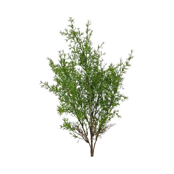 RAMO SPRINGERI H60 CM verde (Cod. 40163-01)