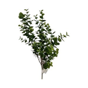 RAMO EUCALIPTO H69 CM verde (Cod. 40165-01)