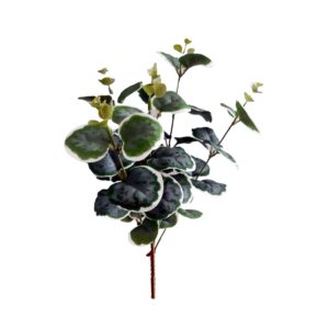 MINI MAZZO EUCALIPTO X5 35 CM variegato (Cod. 40146-01)