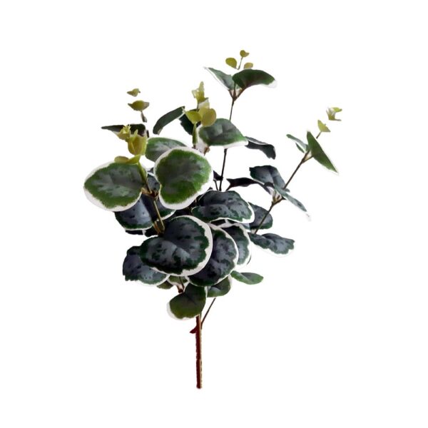 MINI MAZZO EUCALIPTO X5 35 CM variegato (Cod. 40146-01)