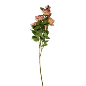 AUSTIN ROSE CM 70 rosa (Cod. 35907-08)