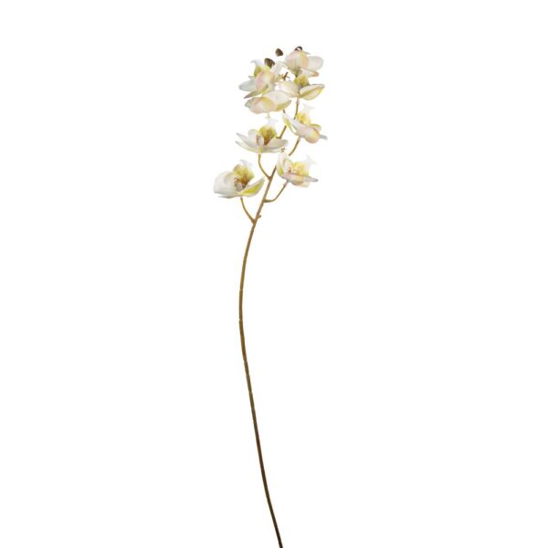 RAMO ORCHIDEA CON 8 FIORI E 3 BOCCIOLI crema (Cod. 40150-01)