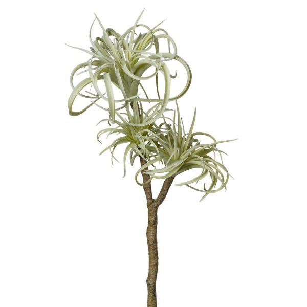 RAMO TILLANZIA X3 54 CM verde-chiaro (Cod. 40064-01)
