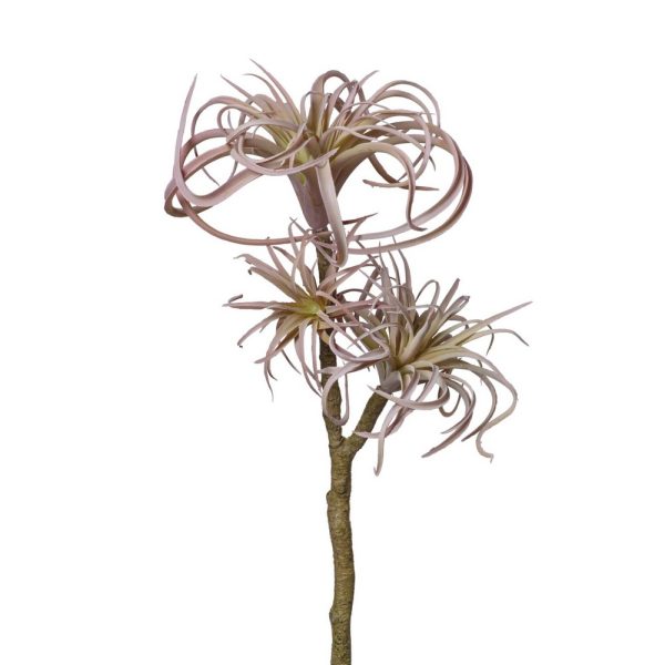 RAMO TILLANZIA X3 54 CM rosa-chiaro (Cod. 40064-02)