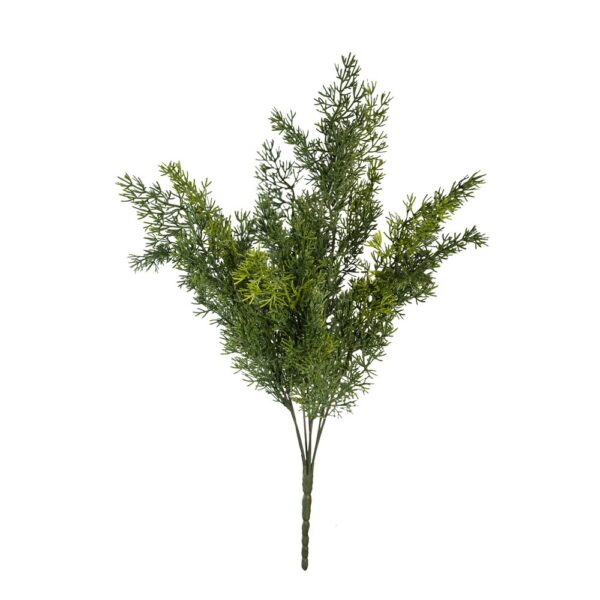 MAZZO TUJA 50 CM verde (Cod. 40145-01)