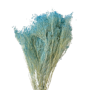 BROOM BLOOM COL. MAZZO GR.100 azzurro (Cod. 6013-19)