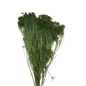 BROOM BLOOM COL. MAZZO GR.100 verde-bosco (Cod. 6013-18)
