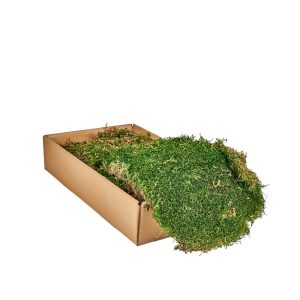 BOX MUSCHIO 500 GR  (Cod. 40043-01)