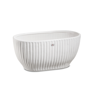 VASO KOLE 20X10 H10,5 CM (PER 2 MINI PHALENOPSIS) bianco (Cod. 40130-01)