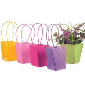SET 10 BORSINE 17X17 H20 CM multicolor (Cod. 37028-02)