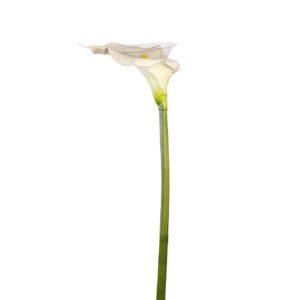 RAMO CALLA REAL TOUCH A GAMBO LUNGO  H73 CM  (Cod. 33349-01)